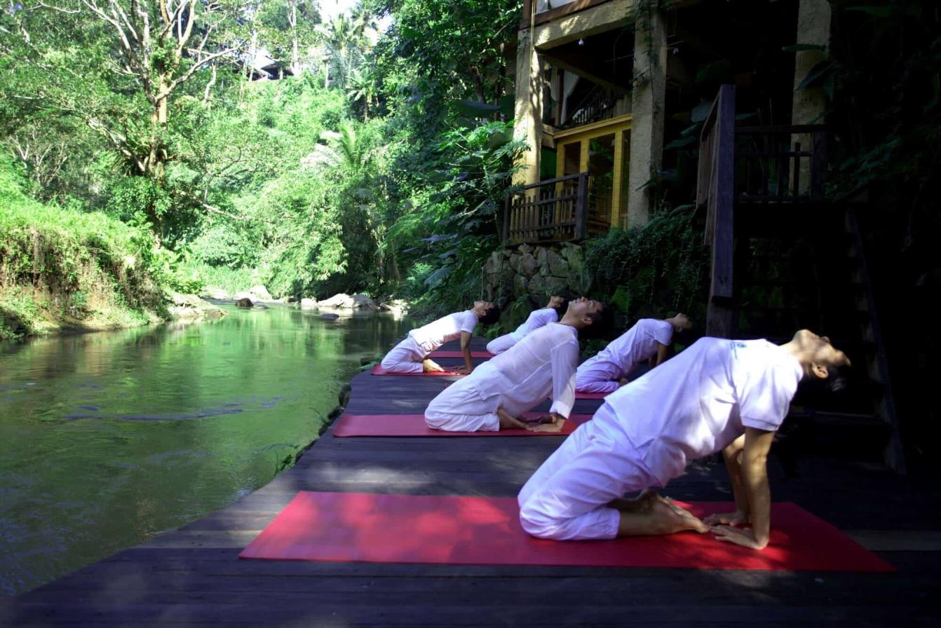 Exploring The Mind-Body Connection: How Yoga Retreats Promote Holistic Wellness