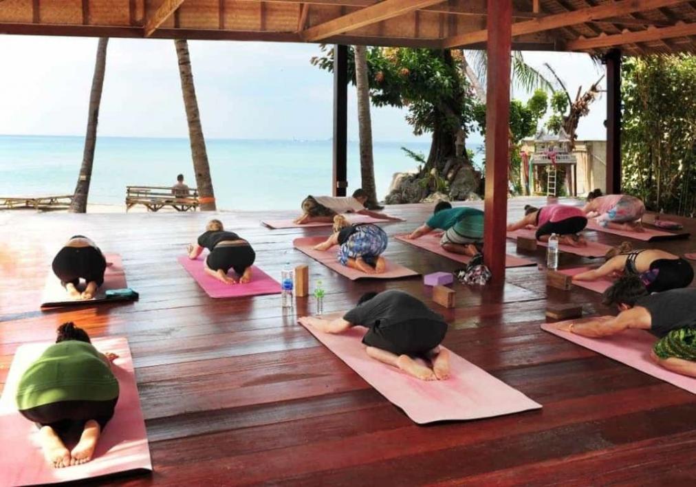 Wellness Seniors Yoga Connection: Holistic Wellness